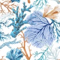 Beautiful seamless underwater pattern with watercolor sea life colorful corals. Stock illustration. Royalty Free Stock Photo