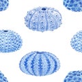 Beautiful seamless underwater pattern with watercolor sea urchin. Stock illustration. Royalty Free Stock Photo