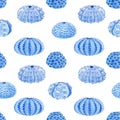 Beautiful seamless underwater pattern with watercolor sea urchin. Stock illustration. Royalty Free Stock Photo