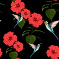 Beautiful seamless vector floral summer pattern background with hummingbird and red hibiscus flowers. Royalty Free Stock Photo