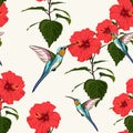 Beautiful seamless vector floral summer pattern background with hummingbird and red hibiscus flowers. Royalty Free Stock Photo