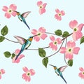 Beautiful seamless vector floral summer pattern background with hummingbird and spring magnolia flowers. Royalty Free Stock Photo