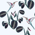 Beautiful seamless vector floral summer pattern background with hummingbird and tropical exotic plants. Royalty Free Stock Photo