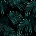 Beautiful seamless vector floral summer pattern background with tropical palm leaves Royalty Free Stock Photo