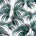 Beautiful seamless vector floral summer pattern background with tropical palm leaves Royalty Free Stock Photo