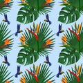 Beautiful seamless vector floral summer pattern background with tropical palm leaves. Perfect for wallpapers, web page backgrounds Royalty Free Stock Photo