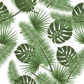 Beautiful seamless vector floral summer pattern background with tropical palm leaves. Perfect for wallpapers, web page Royalty Free Stock Photo