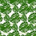 Beautiful seamless vector floral summer pattern background with tropical palm leaves. Perfect for wallpapers, web page Royalty Free Stock Photo