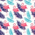 Beautiful seamless vector floral summer pattern background with tropical palm leaves and pink flamingo. Royalty Free Stock Photo