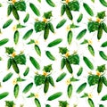 Beautiful seamless vegetable pattern with watercolor summer cucumbers. Stock illustration.