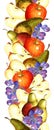 Beautiful seamless vertical pattern with watercolor fruits, apples, pears and grapes. Royalty Free Stock Photo