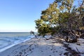 Beautiful seascape of Bowman Beach, sanibel Island Royalty Free Stock Photo