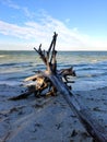 Beautiful seascape of Bowman Beach, sanibel Island Royalty Free Stock Photo