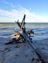 Beautiful seascape of Bowman Beach, sanibel Island