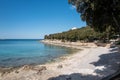 Beautiful seascape with coastline trees under a blue sky in Kroatien, Vrsar, Istrien