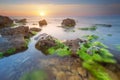 Mist on water and seaweed on stones Royalty Free Stock Photo