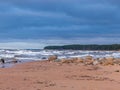 Beautiful seascape, dark clouds and white waves