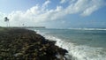 Beautiful seascape in the Dominican Republic - rocky ocean shore with palm trees on the background of a blue sky and bright sun Royalty Free Stock Photo