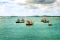 Beautiful seascape with fishing boats on the water. Sri Lanka Royalty Free Stock Photo