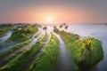 Seascape of green sea moss on rocks in Barrika at sunset Royalty Free Stock Photo