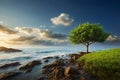 Beautiful seascape with a lonely tree on the coast Royalty Free Stock Photo