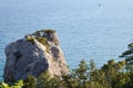 Beautiful seascape. Nature composition. Pine tree on rock Royalty Free Stock Photo