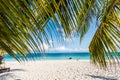 Beautiful seascape with palm tree branches Royalty Free Stock Photo