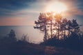 Beautiful seascape, pine trees grow on rocky coast at sunset on the Black Sea coast Royalty Free Stock Photo