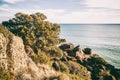 Beautiful seascape, pines on rocks, image with retro tinting Royalty Free Stock Photo