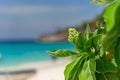 Beautiful seascape from Similan island No.8 in Similan Nation Park