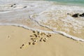 Beautiful seascape view. Shells and fancy pebbles on white sand and turquoise rolling waves on background.