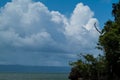 Beautiful Seascape, White Clouds in the Sky, few Trees in foreground