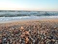 Beautiful seashell beach at sunset by the sea Royalty Free Stock Photo
