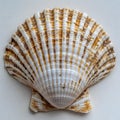 A beautiful seashell with intricate patterns and colors generated using AI.
