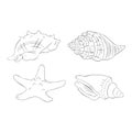 Beautiful Seashell and Starfish Black and White Line Art Royalty Free Stock Photo