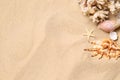 Beautiful seashells, coral and starfish on beach sand, flat lay with space for text. Summer vacation