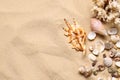 Beautiful seashells, coral and starfishes on beach sand, flat lay with space for text. Summer vacation