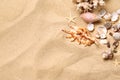 Beautiful seashells, coral and starfishes on beach sand, flat lay with space for text. Summer vacation