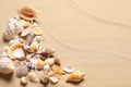 Beautiful seashells and starfish on beach sand, space for text. Summer vacation Royalty Free Stock Photo