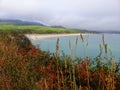 Beautiful seashore scenery in Cangas, Galicia