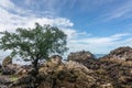 The beautiful seaside rocks at Kung Wiman, Thailand.