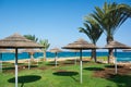 Beautiful seaview with palm trees and thatched roof umbrellas. Protaras, Cyprus