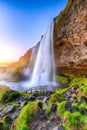 Beautiful  Seljalandsfoss waterfall in Iceland during the sunset Royalty Free Stock Photo