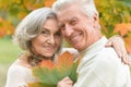 Beautiful senior couple in autumn park with leaves Royalty Free Stock Photo