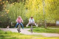 Beautiful senior couple with bicycles outside in spring nature. Royalty Free Stock Photo