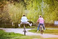 Beautiful senior couple with bicycles outside in spring nature. Royalty Free Stock Photo