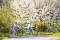 Beautiful senior couple with bicycles outside in spring nature. Royalty Free Stock Photo