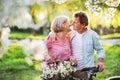 Beautiful senior couple with bicycles outside in spring nature. Royalty Free Stock Photo