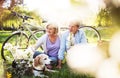 Beautiful senior couple with dog and bicycles outside in spring nature. Royalty Free Stock Photo