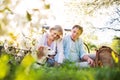 Beautiful senior couple with dog and bicycles outside in spring nature. Royalty Free Stock Photo